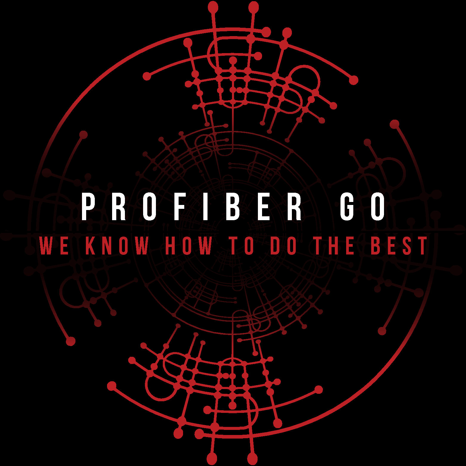 PROFIBER GO